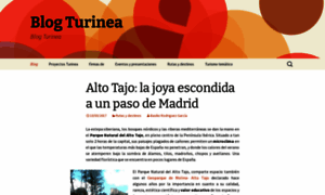 Blog.turinea.com thumbnail