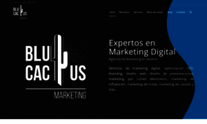 Blucactus.es thumbnail