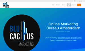 Blucactus.nl thumbnail