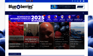 Blueberriesconsulting.com thumbnail