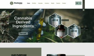 Blueberriesmed.com thumbnail