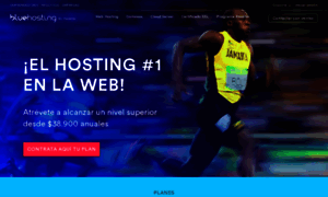 Bluehosting.cl thumbnail