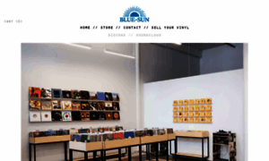 Bluesun.nyc thumbnail