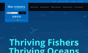 Blueventures.org thumbnail