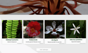 Blume7.de thumbnail Blume7.de thumbnail