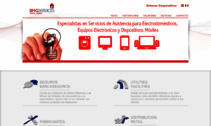 Bmgservices.es thumbnail