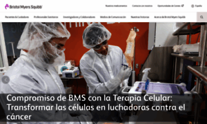 Bms.es thumbnail