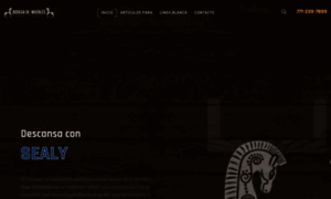 Bmsantacatarina.com thumbnail