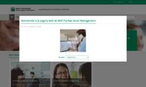 Bnpparibas-ip.com.ar thumbnail