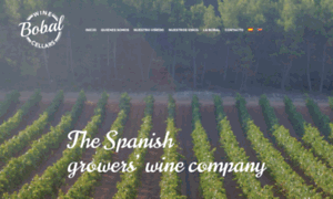 Bobalwinecellars.es thumbnail