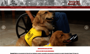 Bocalanperu.org thumbnail