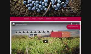 Bodegaslleiroso.com thumbnail