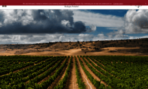 Bodegaspenafiel.com thumbnail