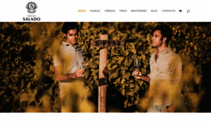 Bodegassalado.es thumbnail