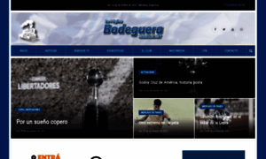 Bodegue.net thumbnail
