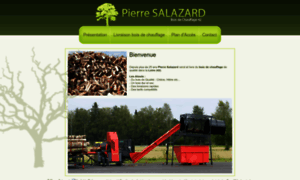 Boisdechauffage42.fr thumbnail