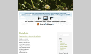 Boldo.com.es thumbnail