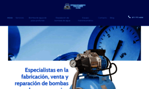 Bombasnazas.com.mx thumbnail