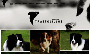 Bordercollie.es thumbnail
