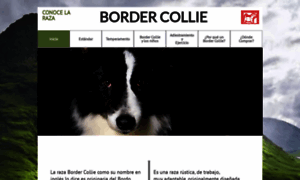 Bordercollie.info thumbnail