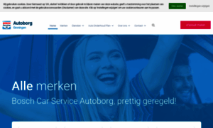 Boschcarserviceautoborg.nl thumbnail