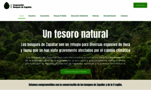 Bosquesdezapallar.cl thumbnail