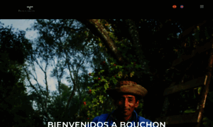 Bouchonfamilywines.com thumbnail