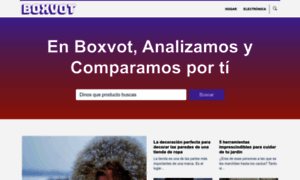 Boxvot.es thumbnail