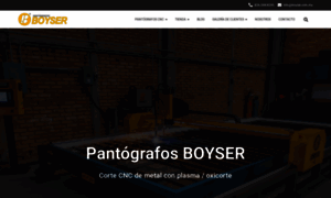 Boyser.com.mx thumbnail