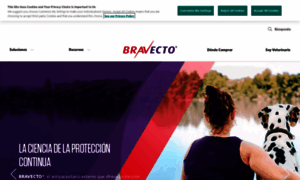 Bravecto.com.mx thumbnail