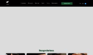 Brbs.com.ua thumbnail