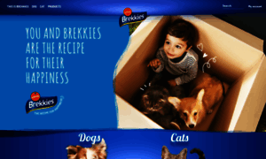 Brekkiesmomentos.com thumbnail