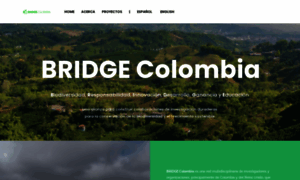 Bridgecolombia.org thumbnail