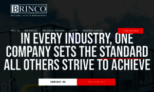 Brinco.com thumbnail
