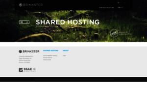 Brinkster.com thumbnail