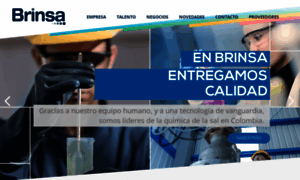 Brinsa.com.co thumbnail