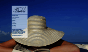 Brisashosteria.com.ar thumbnail