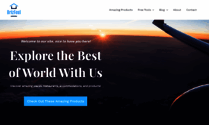 Brizfeel.com thumbnail