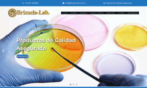 Brizuela-lab.com.ar thumbnail