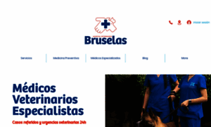 Bruselas.com.mx thumbnail