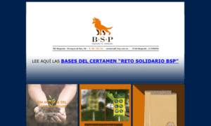 Bsp.com.es thumbnail