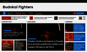 Budokaifighters.com thumbnail
