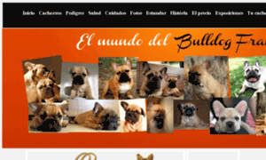 Bulldogfrances.eu thumbnail