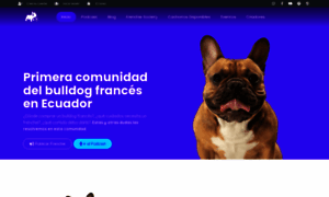 Bulldogfrancesecuador.com thumbnail