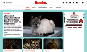 Bunko.pet thumbnail