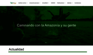 Caaap.org.pe thumbnail