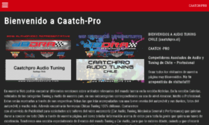 Caatchpro.cl thumbnail