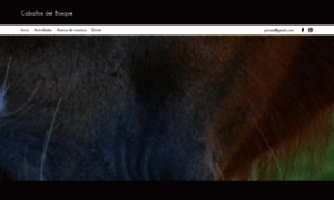 Caballosdelbosque.com thumbnail