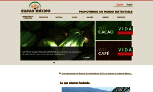 Cacaomexico.org thumbnail
