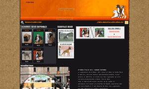 Cachorrosboxer.com thumbnail